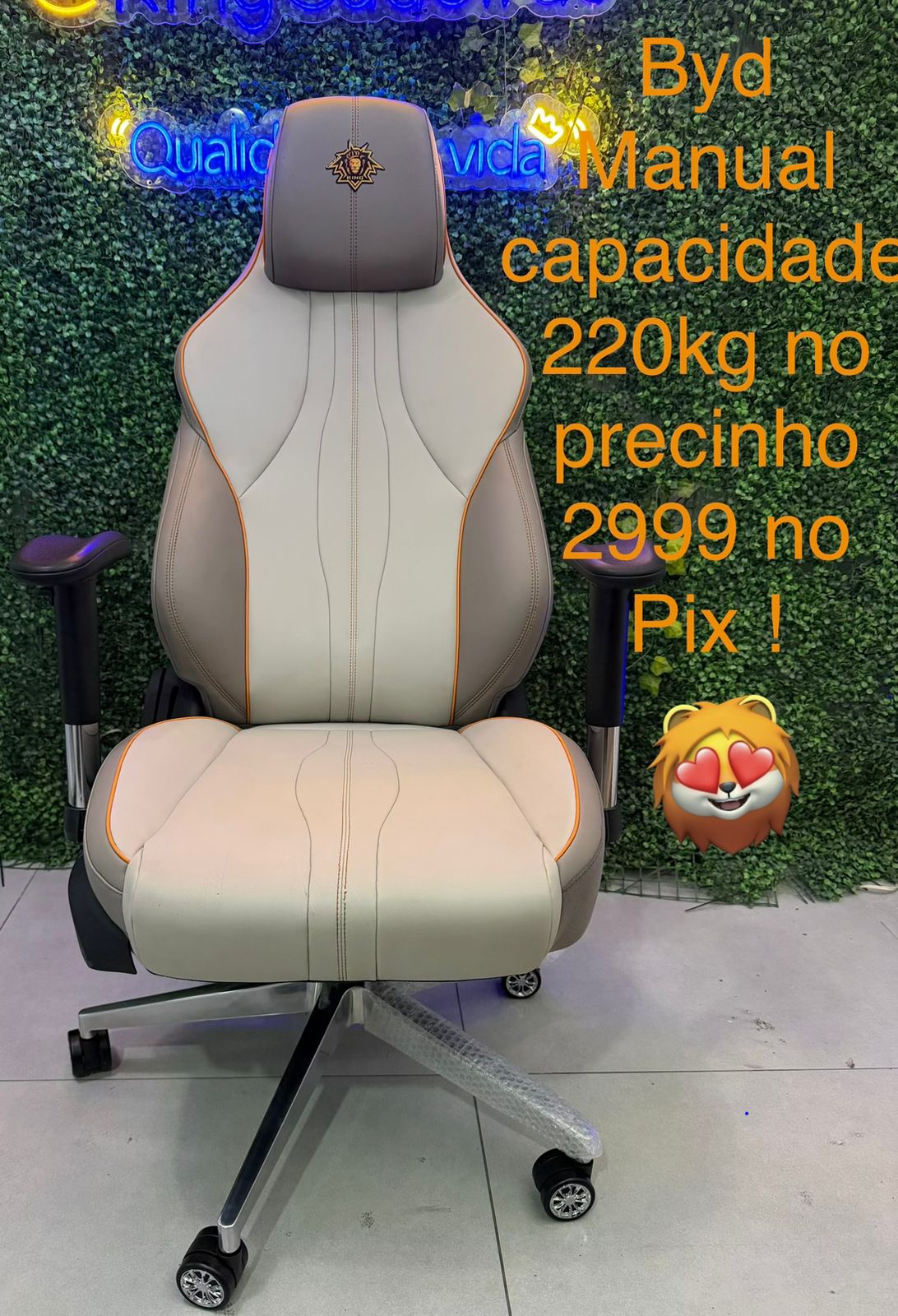 Cadeira BYD Manual